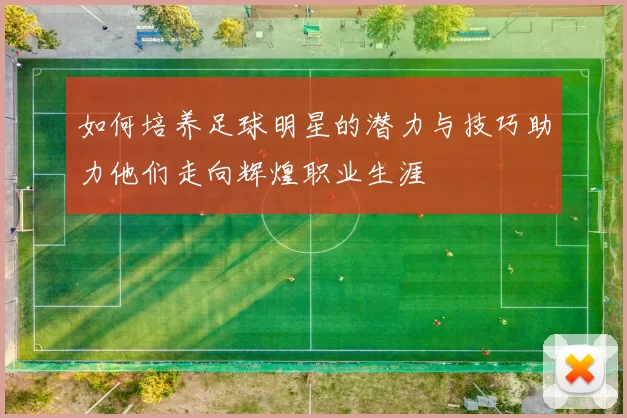 如何培养足球明星的潜力与技巧助力他们走向辉煌职业生涯