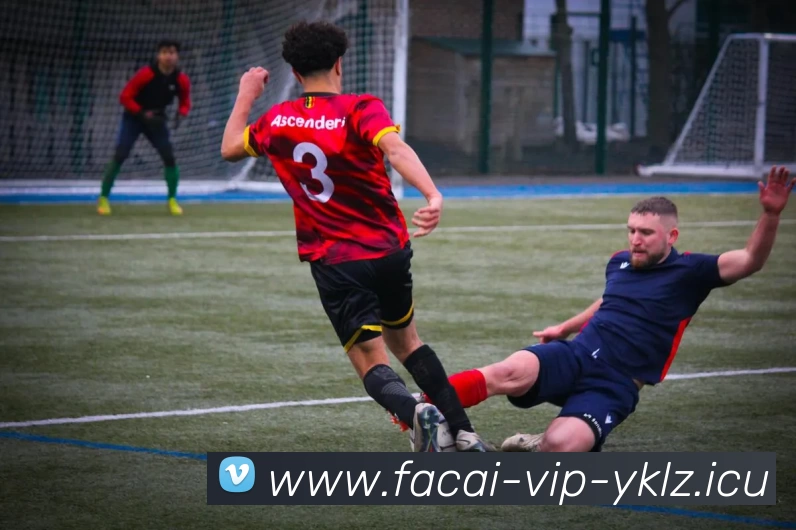 开云体育服务体系