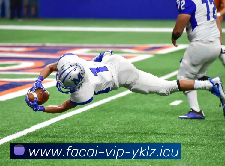 多媒体互动体验