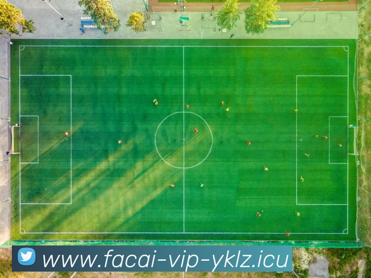 开云体育APP 体育赛事宣传图